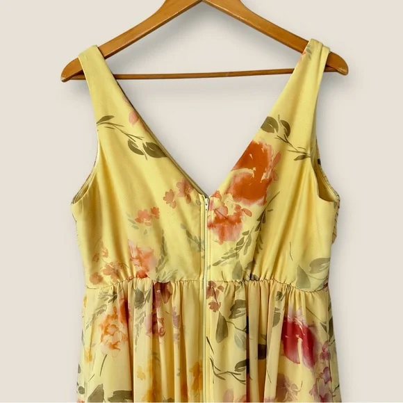 Birdy Grey Laurie Empire Maxi Dress Pale Yellow Rococo Floral - Picture 10 of 13